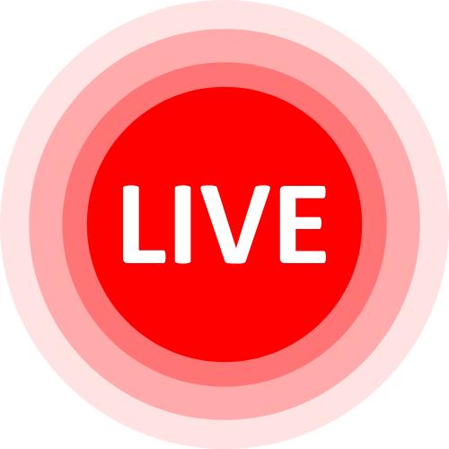 Webcam Anal